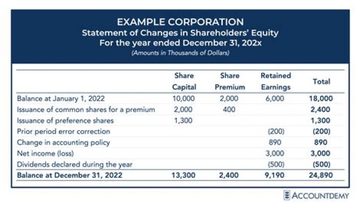 Do S Corp shareholders have capital accounts?