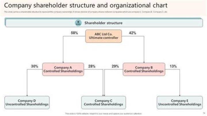 Do shareholders own part of the company they purchased stocks from?