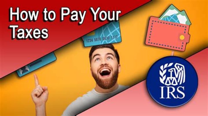 Do you have to pay your tax return all at once?