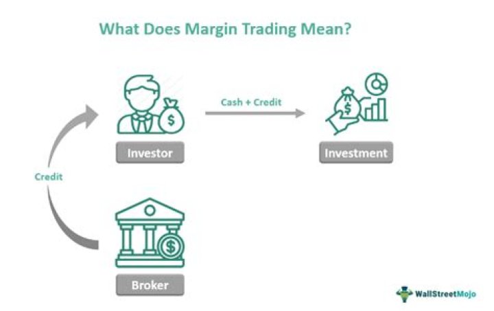 Do you pay interest on margin stocks?