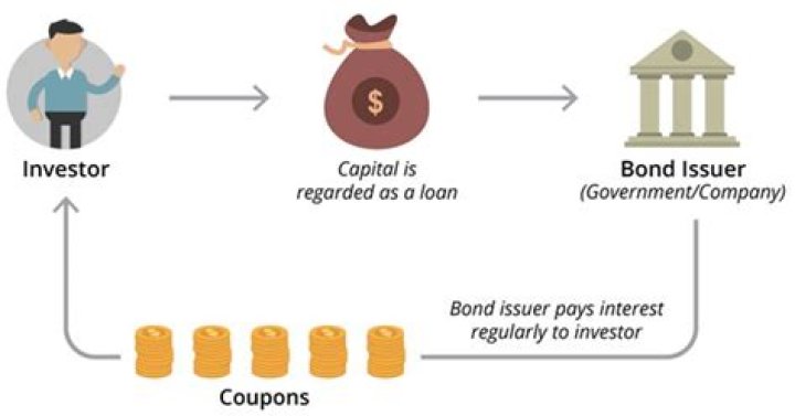 Does bond earn interest?