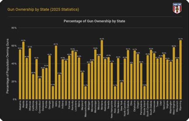 Does K-1 show ownership percentage?