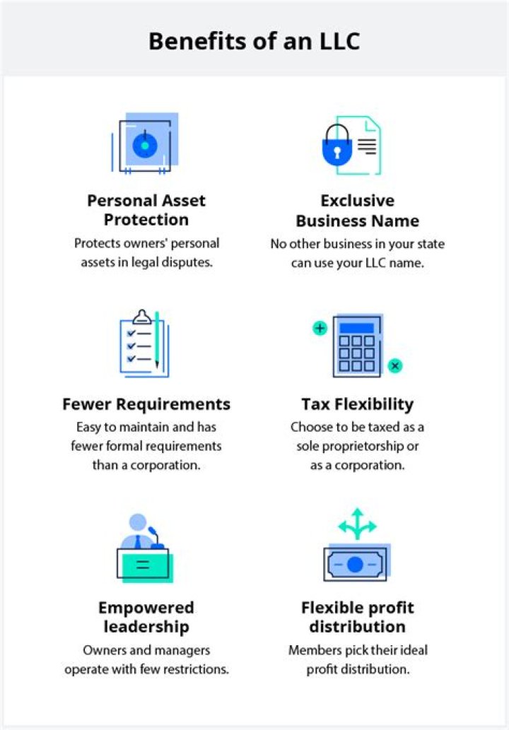 Does LLC count personal income?