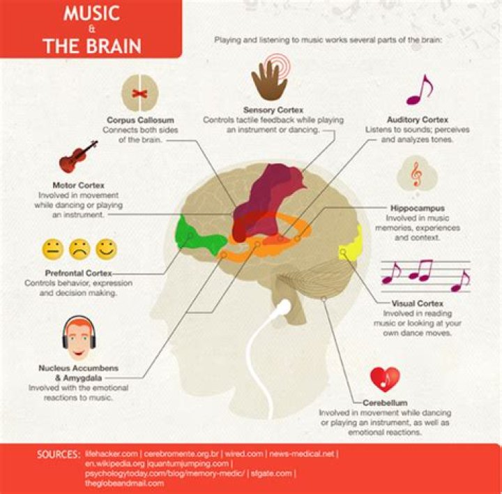 Does musical instruments affect brain?