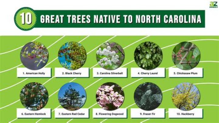 Does NC State have a farm?