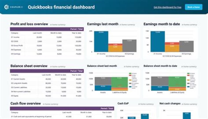 Does QuickBooks report income?