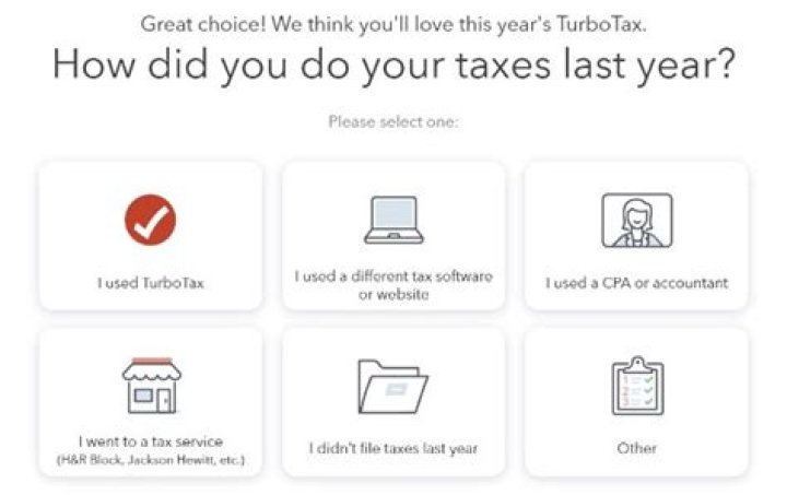 Does TurboTax offer tax advice?