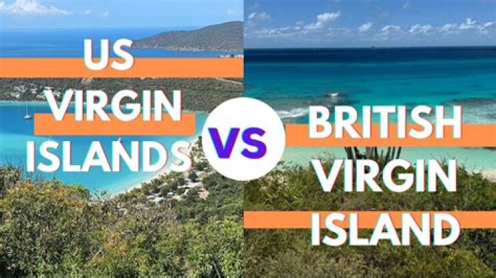 Does US have a tax treaty with British Virgin Islands?