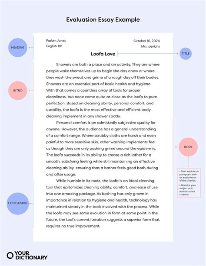 Evaluation Essays Requires You to Deeply Look at a Topic