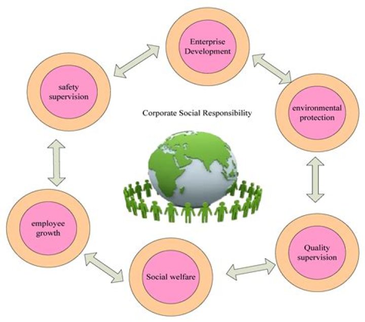 How an organization should implement the social responsibility?