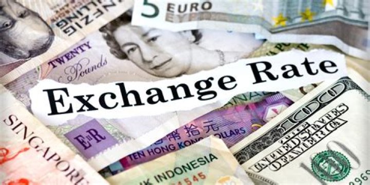 How are customs exchange rates fixed?
