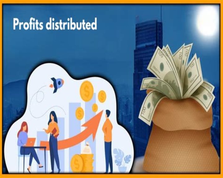 How are profits earned?