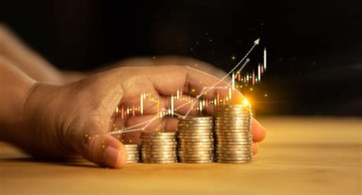 How can a business invest 50000?