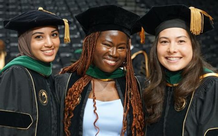 How do graduate students stay organized?