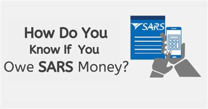 How do I check how much I owe SARS?