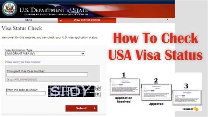 How do I check the status of a corporation with the IRS?