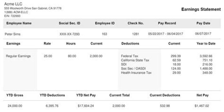 How do I create a pay stub for my 1099 employee?