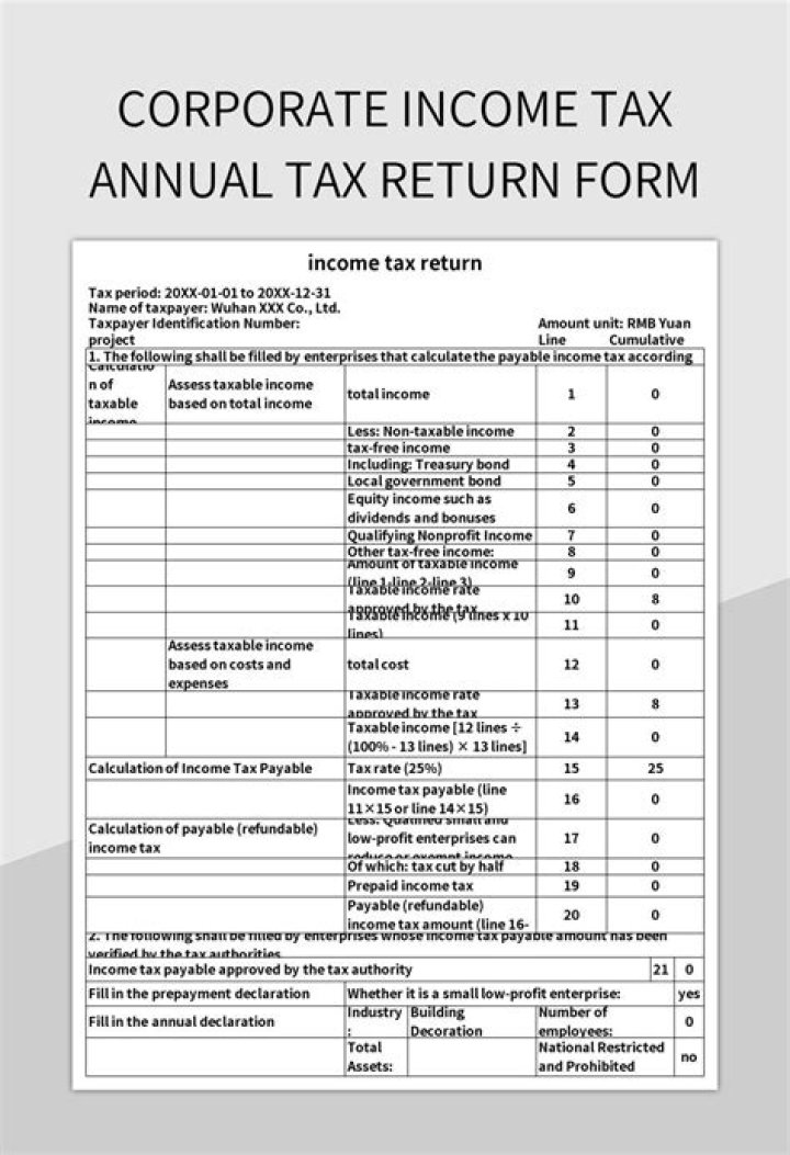 How do I file corporate tax return?