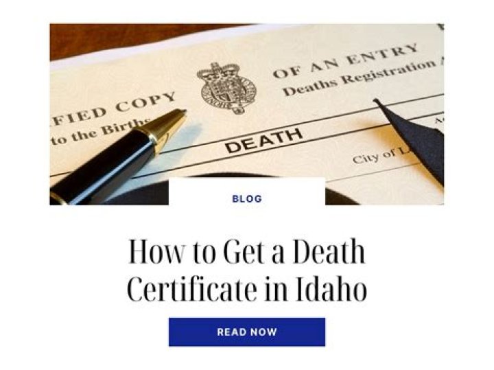 How do I find my correct path?