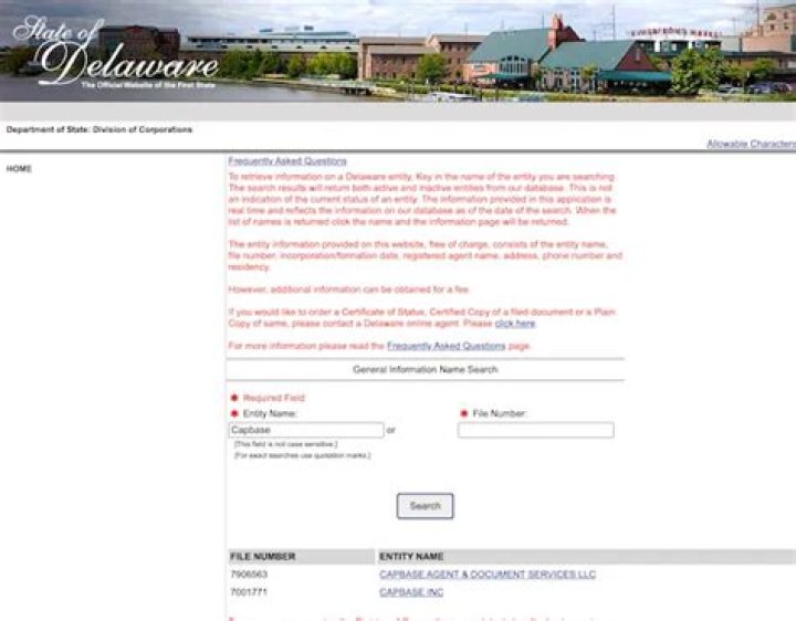 How do I find my Delaware file number?