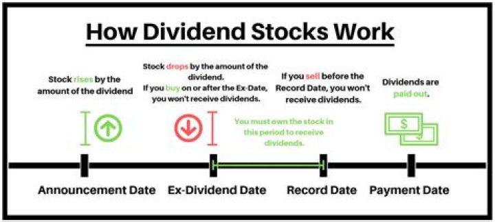 How do I get a dividend report?