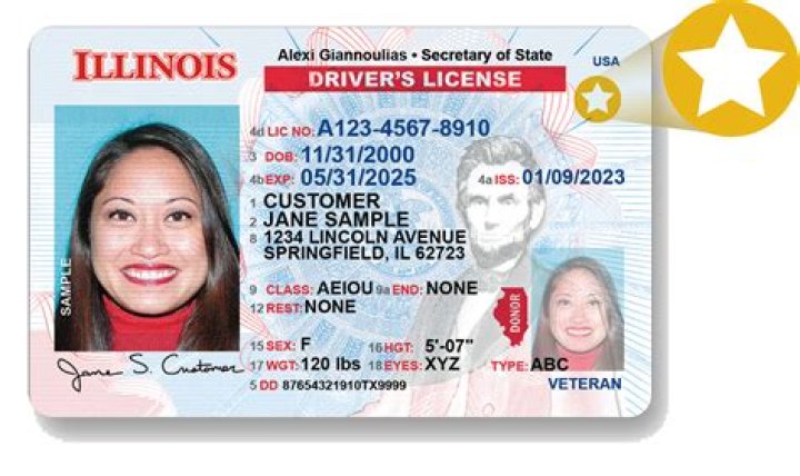 How do I get my Illinois tax pin number?