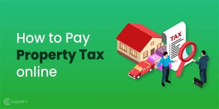 How do I pay my Mobile County property taxes?