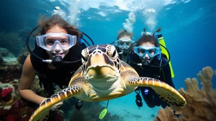 How do I prepare for scuba diving lessons?