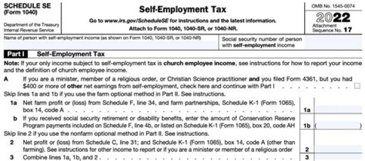 How do I report a loss for self employment?