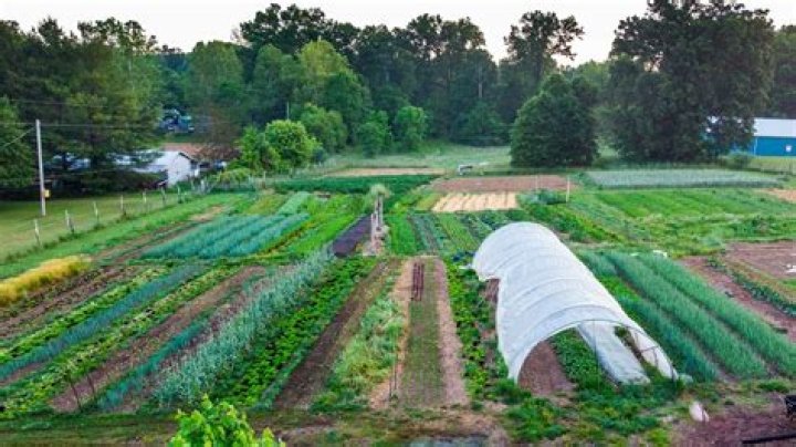 How do I start farming?
