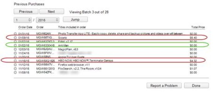 How do I view my rental history?