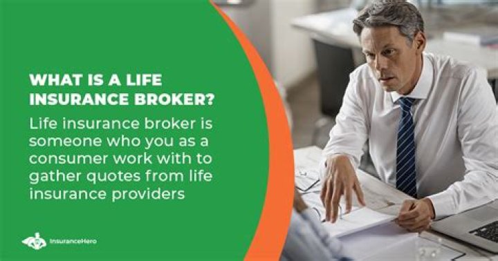 How do insurance brokers operate?