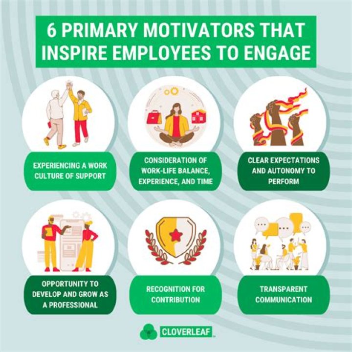 How do organizations motivate their employees?