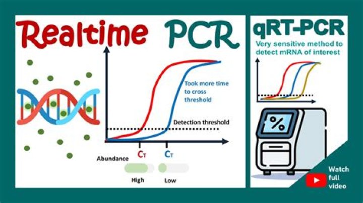 How do you analyze PCR results?