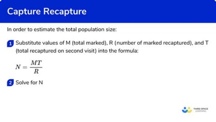 How do you calculate recapture rate in ecology?