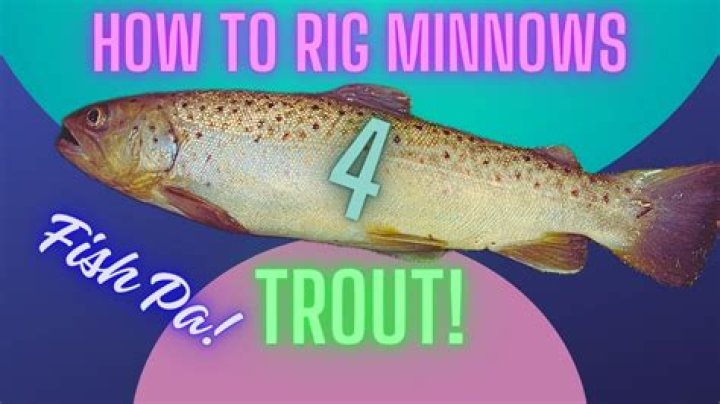 How do you catch trout on opening day?