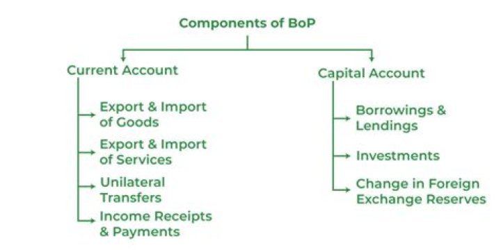 How do you define a foreign company?