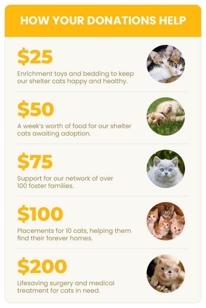 How do you determine the value of donations?