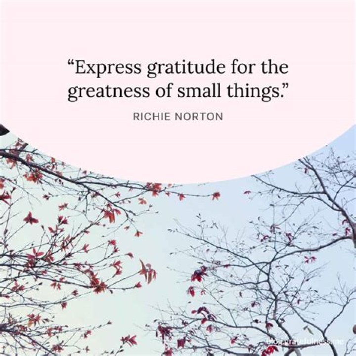 How do you express gratitude by words?