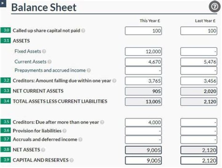 How do you file a micro entity balance sheet?