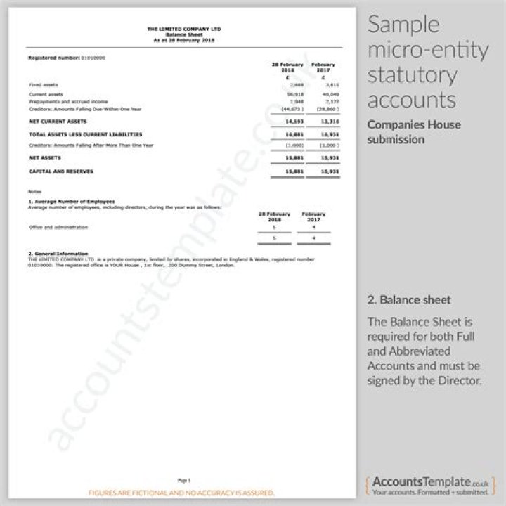 How do you fill out a micro entity balance sheet?