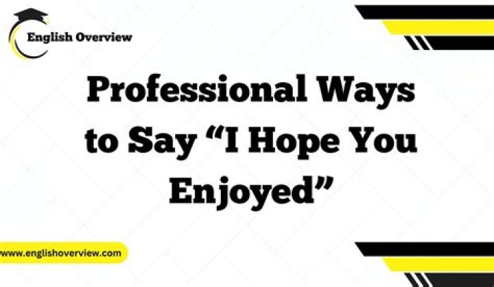 How do you say I hope you can understand professionally?