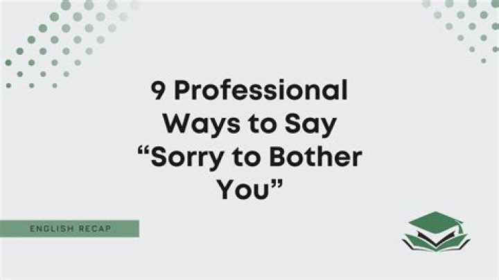 How do you say sorry to bother you again?