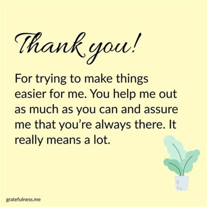 How do you say thank you for trying to help?