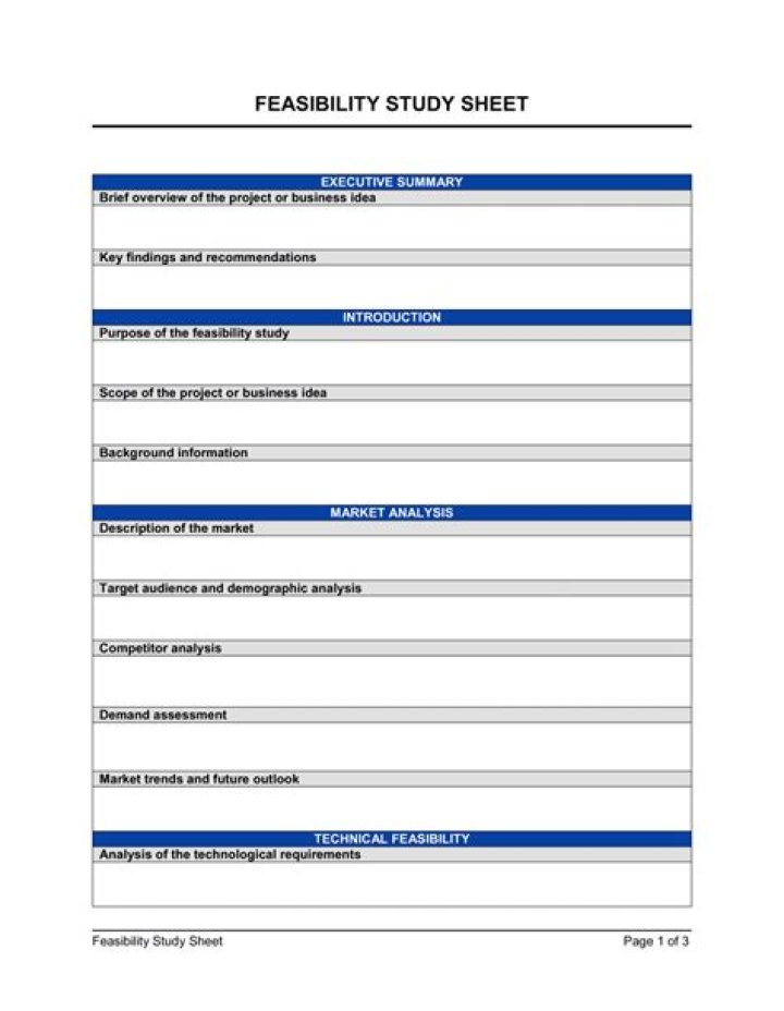 How do you write a feasibility study report?