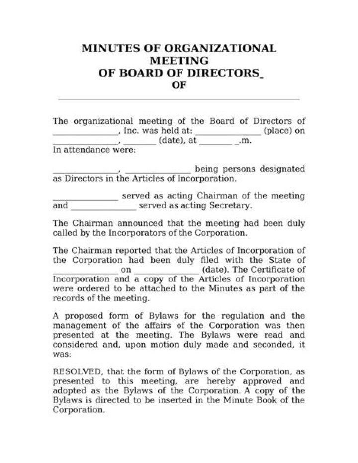 How do you write minutes for an S Corp?