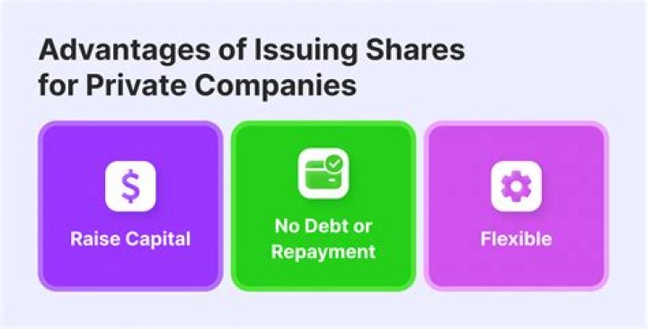 How does a private company issue stock?