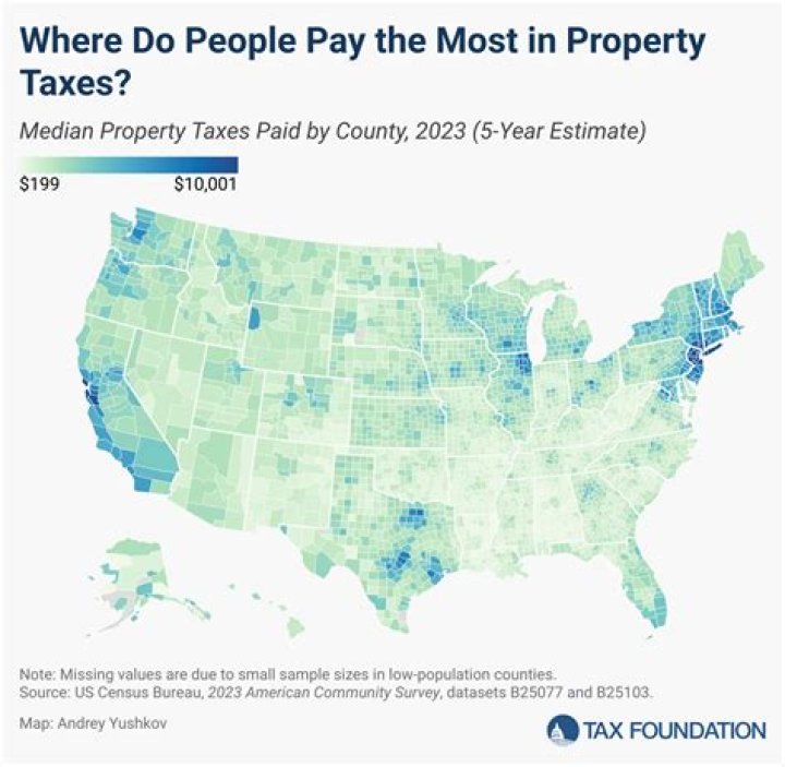 How does the state of Michigan pay your taxes?