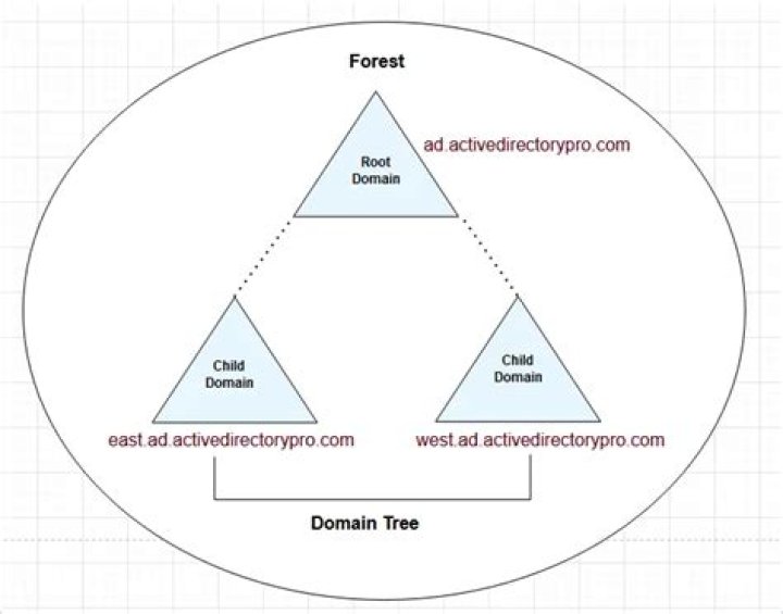 How is the Forest Service funded?