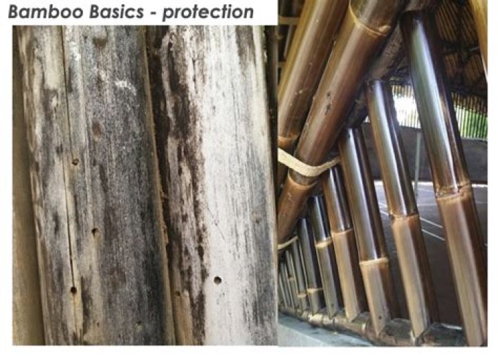 How long do bamboo fences last?